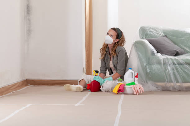 Reliable Mold Remediation contractor in Westwood, KY by 24 Hour Mold Removal